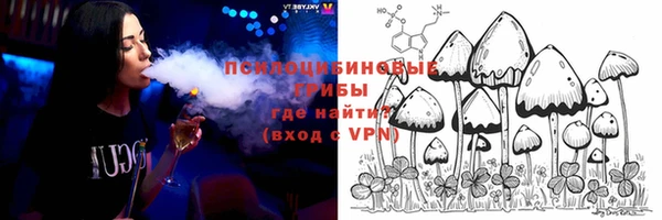 тгк Алзамай