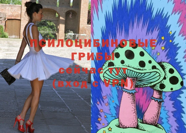 тгк Алзамай