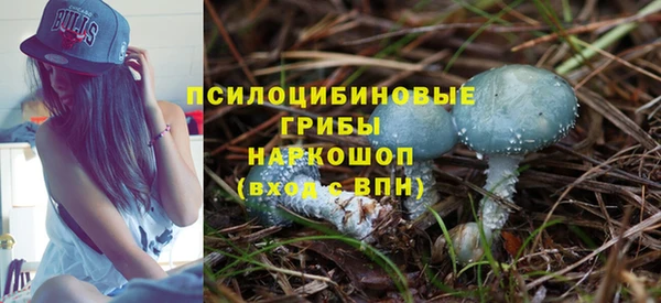 тгк Алзамай