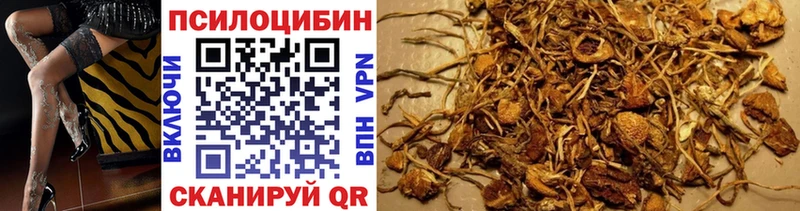 Галлюциногенные грибы прущие грибы  blacksprut как войти  Звенигород  где продают  